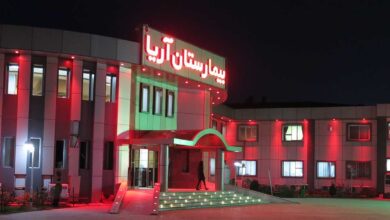 دانلود پاورپوینت نمونه موردی بیمارستان آریا