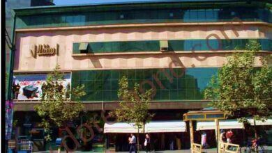 پاورپوینت تحلیل نمونه سینما داخلی