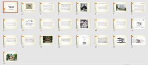 دانلود پاورپوینت تحلیل خانه دومینو همراه با پلانها و تصاویر